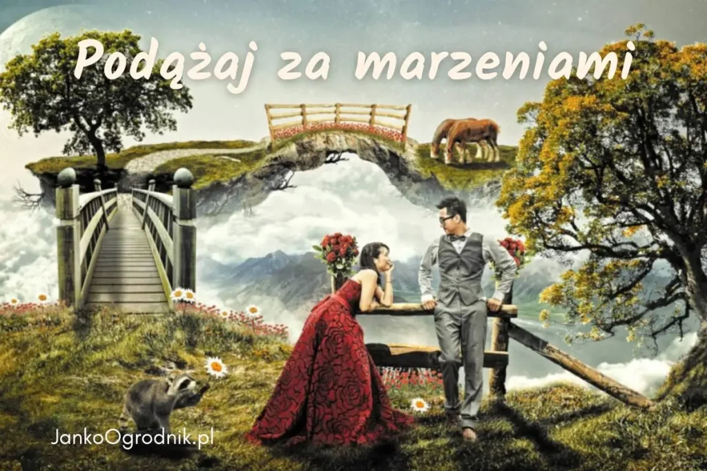 Jaki jest sens życia. Podążaj za marzeniami.
