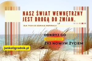 Nasz świat wewnętrzny jest drogą do zmian