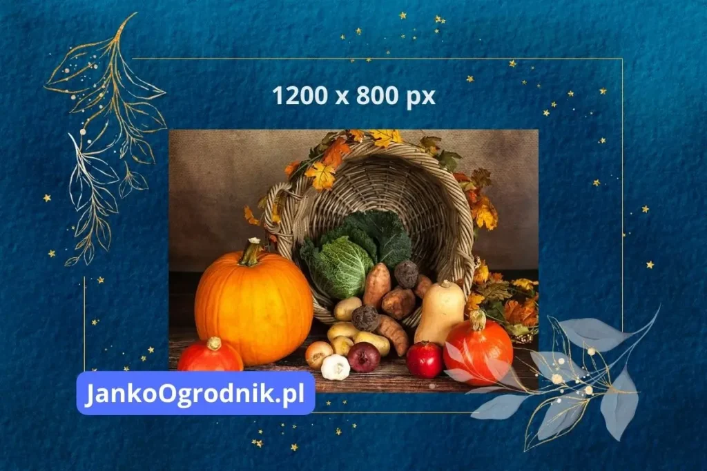 Obraz zastępczy 1200x800px